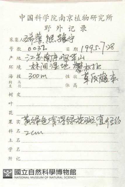 青牛膽藏品圖，第2張