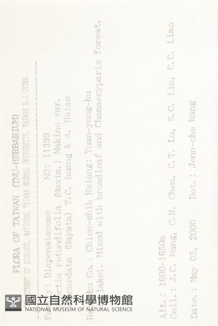 圓葉裂緣花藏品圖，第2張