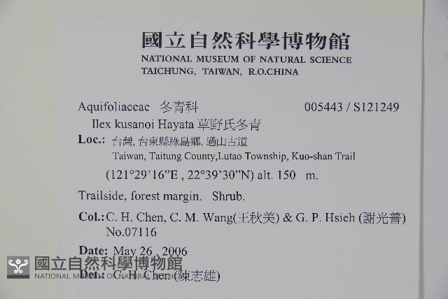 草野氏冬青藏品圖，第2張