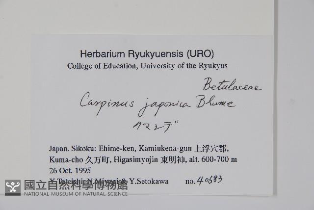 登錄號:S051249藏品圖，第2張