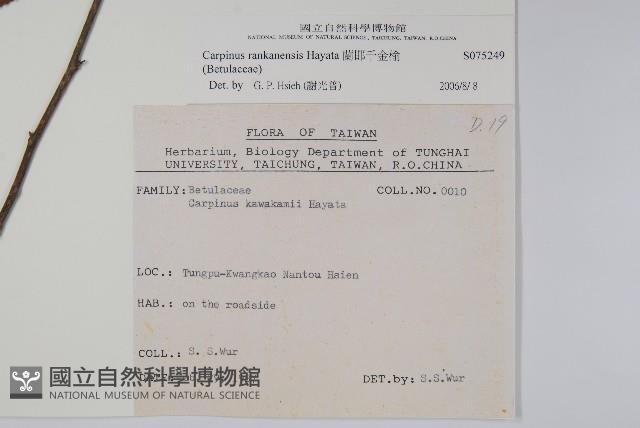 蘭邯千金榆藏品圖，第2張