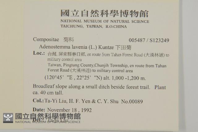 下田菊藏品圖，第2張