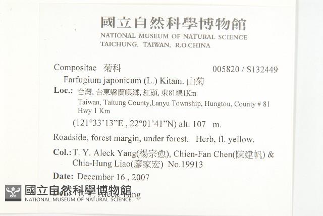 山菊藏品圖，第2張