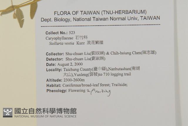 疏花繁縷藏品圖，第2張