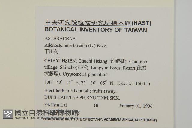 下田菊藏品圖，第2張