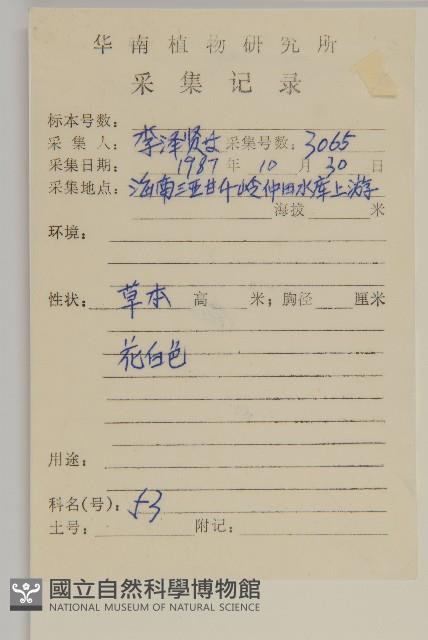 白鼓釘藏品圖，第2張