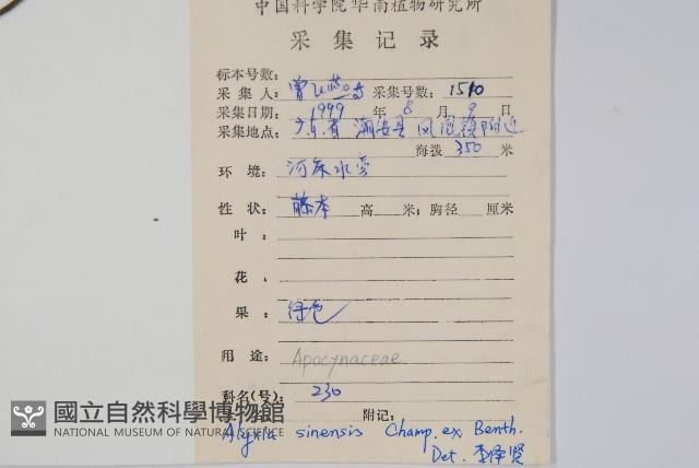 中國念珠藤藏品圖，第2張