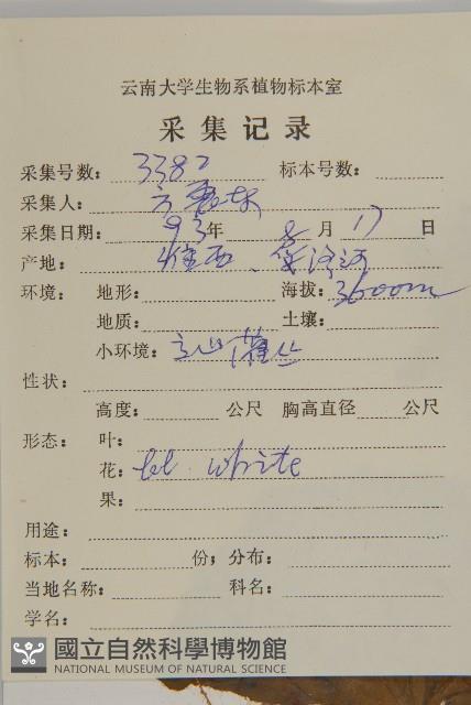 登錄號:S022149藏品圖，第2張