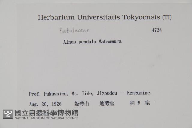 登錄號:S082149藏品圖，第2張