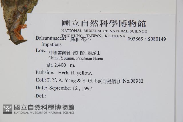 登錄號:S080149藏品圖，第2張