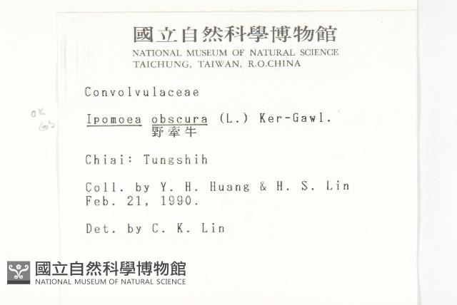 野牽牛藏品圖，第2張