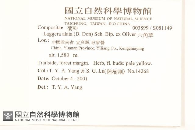 六角草藏品圖，第2張