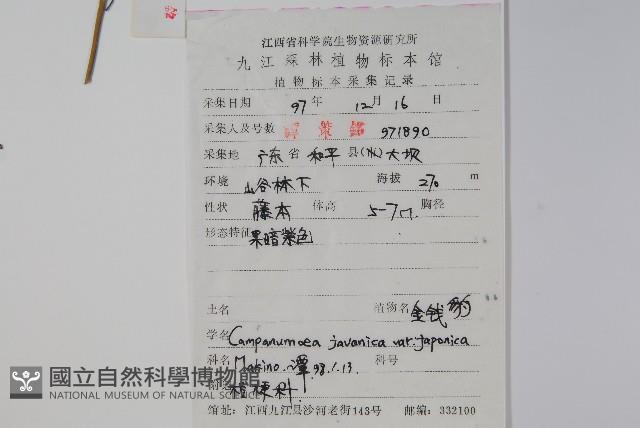 金錢豹藏品圖，第2張