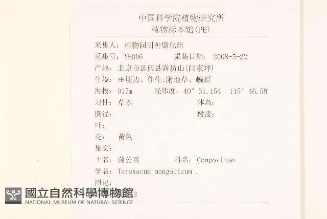 蒲公英藏品圖，第2張