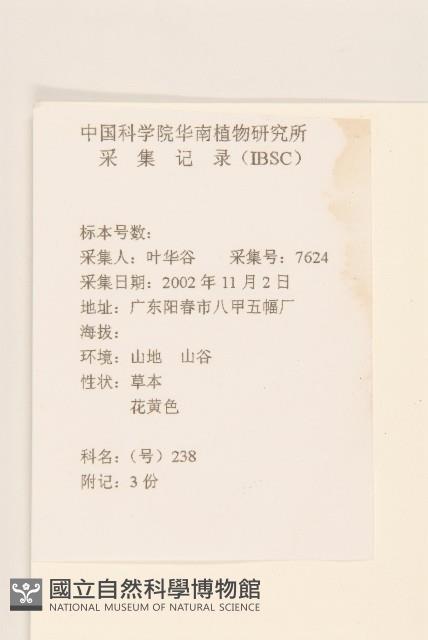平臥三七草藏品圖，第2張
