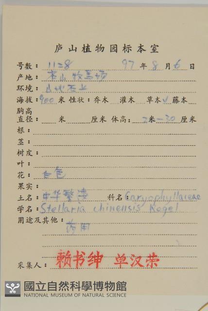 中國繁縷藏品圖，第2張