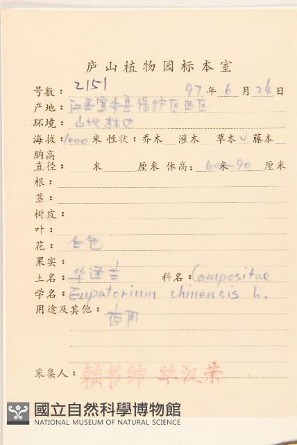 華澤蘭藏品圖，第2張