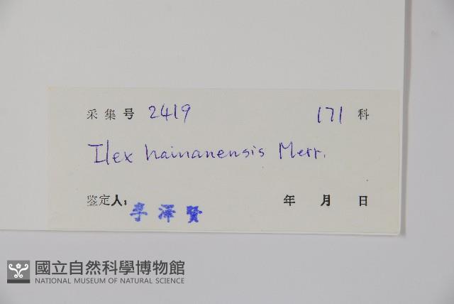 海南冬青藏品圖，第2張