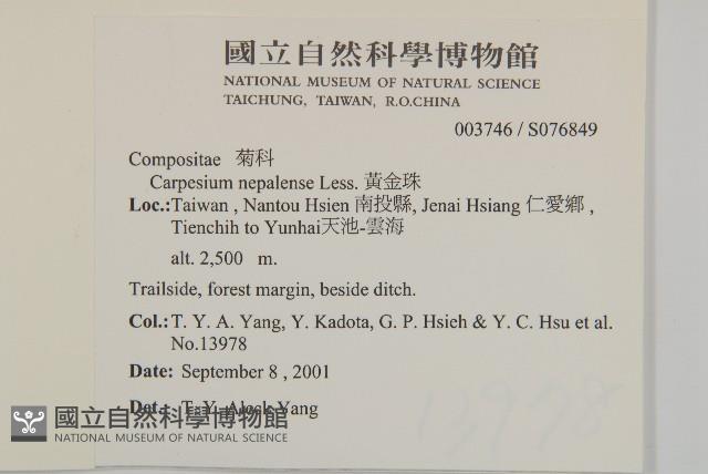 黃金珠藏品圖，第2張