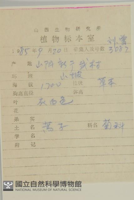 蒿子藏品圖，第2張