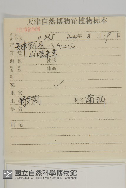 野艾蒿藏品圖，第2張