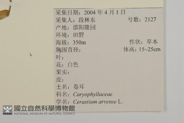 卷耳藏品圖，第2張