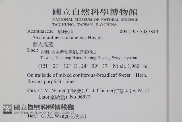 蘭嵌馬藍藏品圖，第2張