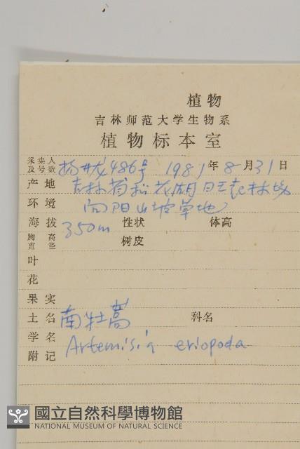 南牡蒿藏品圖，第2張