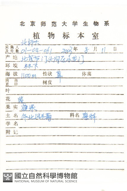 華北鳳毛菊藏品圖，第2張