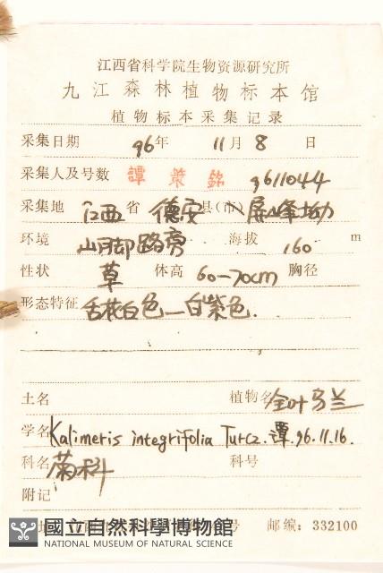 全葉馬蘭藏品圖，第2張