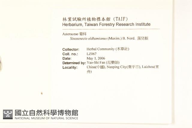 蒲儿根藏品圖，第2張