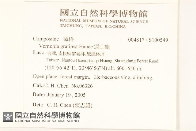 過山龍藏品圖，第2張