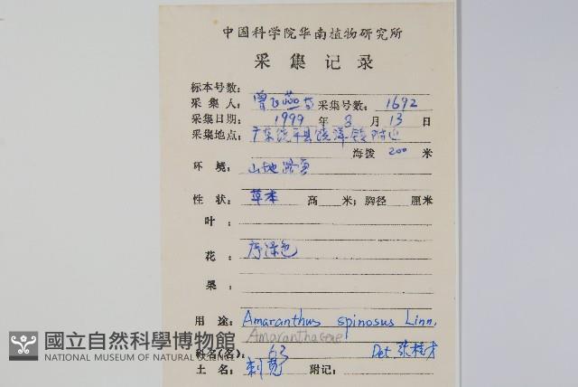 刺莧藏品圖，第2張