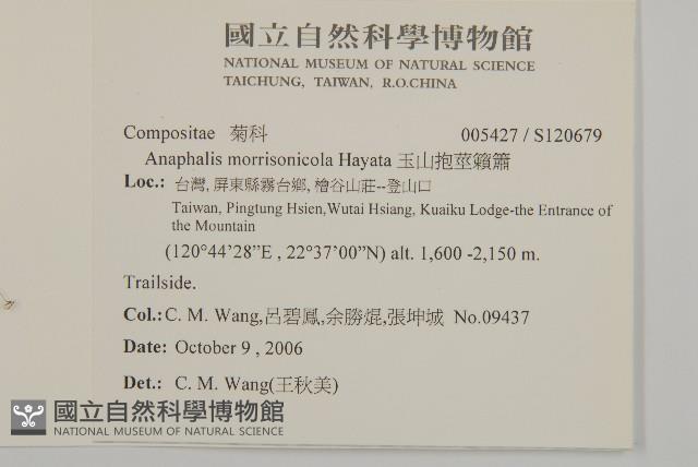 玉山抱莖籟簫藏品圖，第2張