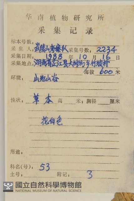 疏花繁縷藏品圖，第2張