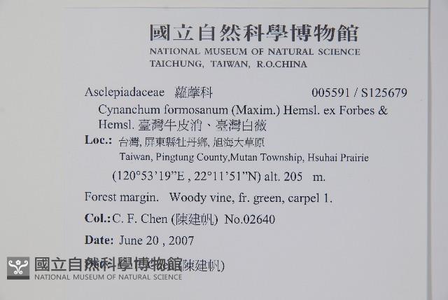 臺灣牛皮消、臺灣白薇藏品圖，第2張