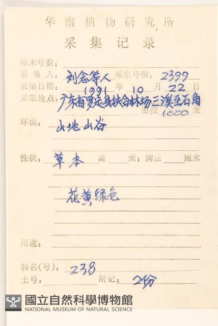 多莖鼠麴草藏品圖，第2張