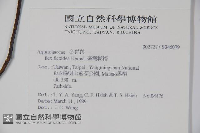 Accession Number:S046079 Collection Image, Figure 2, Total 2 Figures