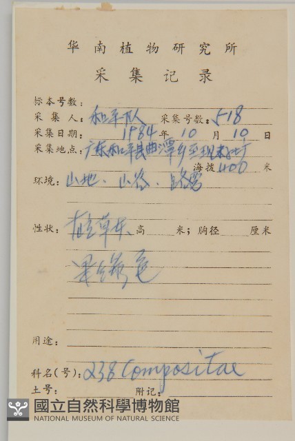 狼把草藏品圖，第2張