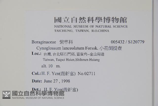 小花倒提壺藏品圖，第2張