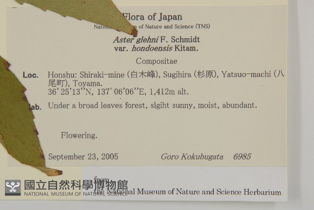 登錄號:S130779藏品圖，第2張