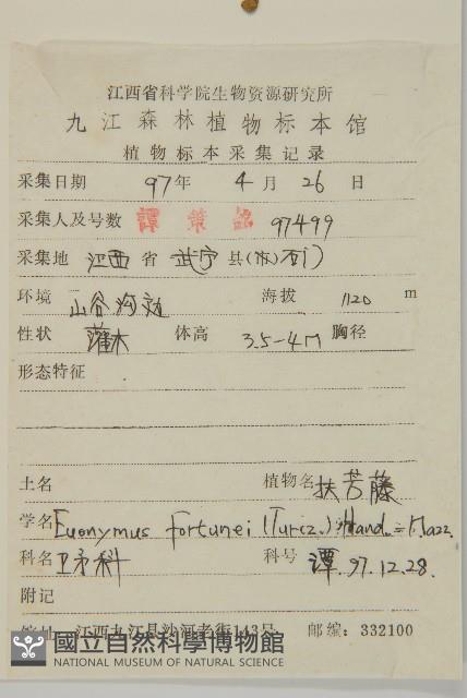 扶芳藤藏品圖，第2張