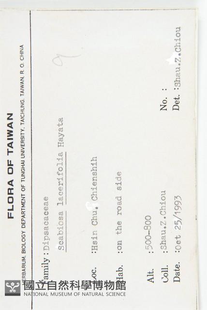 玉山山蘿蔔藏品圖，第2張