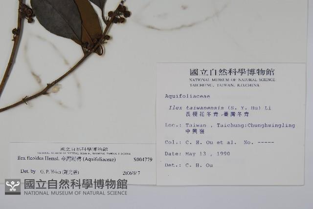 臺灣糊樗藏品圖，第2張