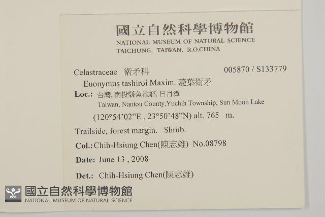 菱葉衛矛藏品圖，第2張