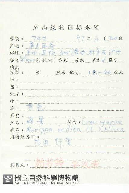 葶藶藏品圖，第2張