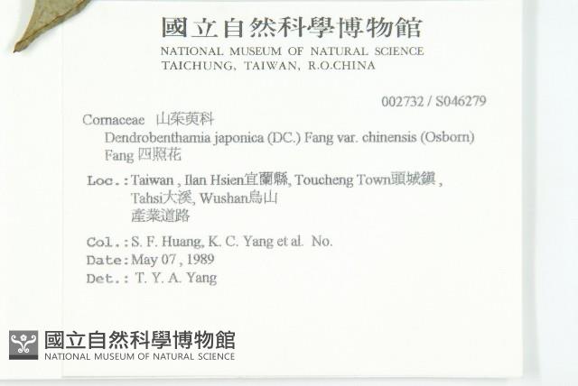 四照花藏品圖，第2張