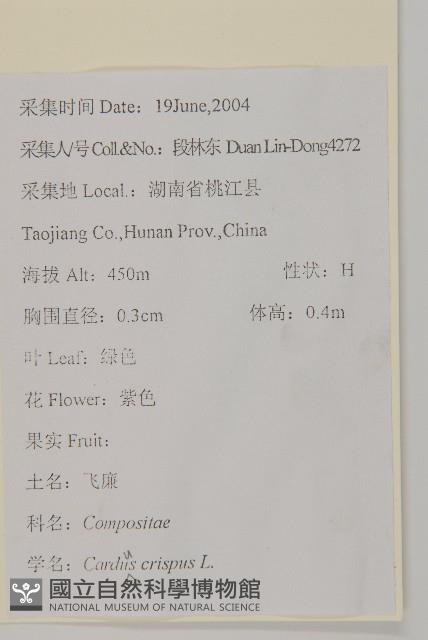 飛廉藏品圖，第2張