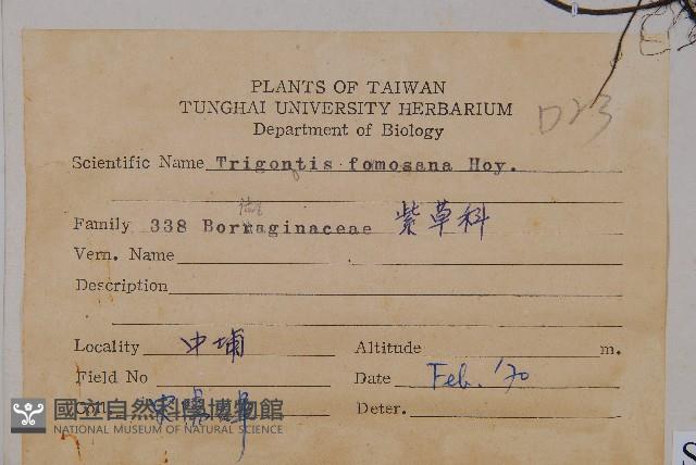 臺灣附地草藏品圖，第2張