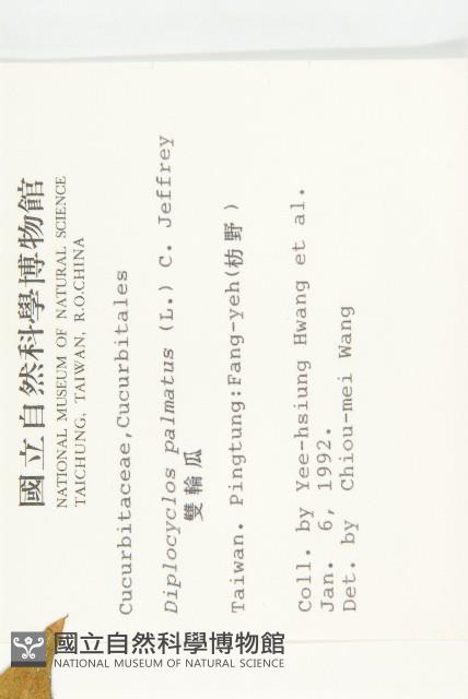 雙輪瓜藏品圖，第2張